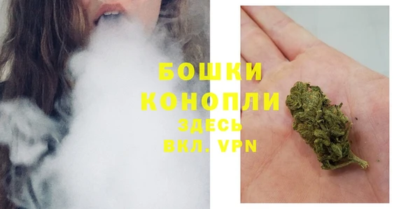 трава Бородино